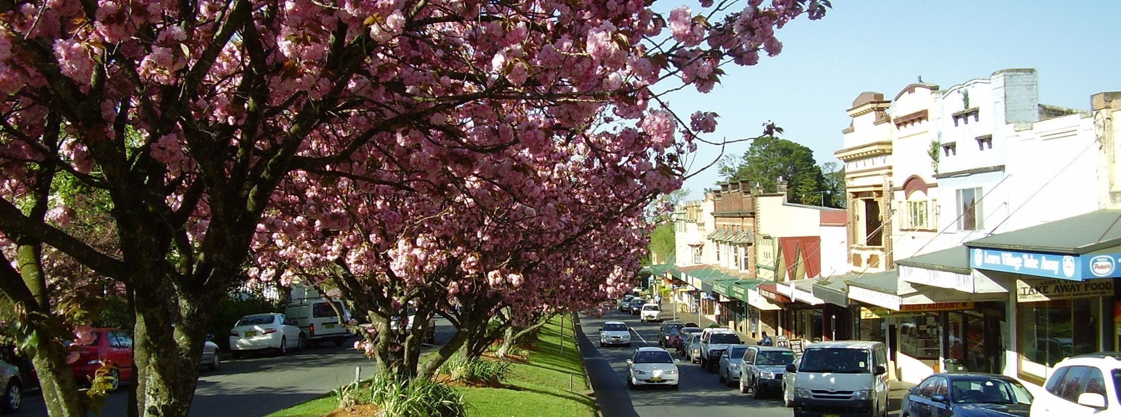 Consultancy Services for the Design and Specification of Leura Mall and Safety Improvements of Singles Ridge Road, Yellow Rock